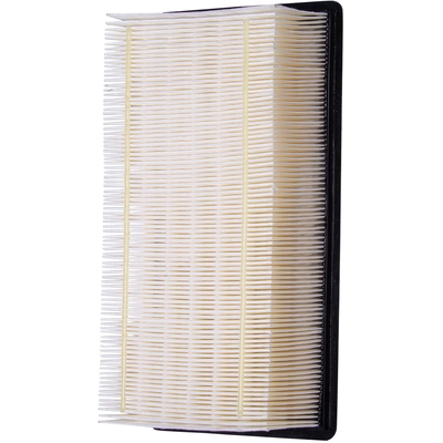 ECOGARD - XA5446 - Air Filter pa2