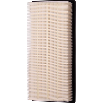 ECOGARD - XA5546 - Air Filter pa1