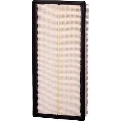 ECOGARD - XA5546 - Air Filter pa2