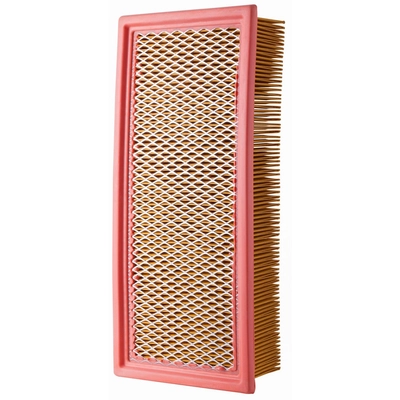 ECOGARD - XA5569 - Air Filter pa1