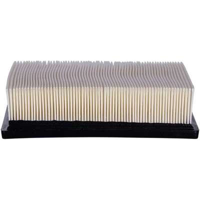 ECOGARD - XA6116 - Air Filter pa3