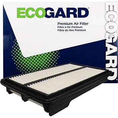 Air Filter by ECOGARD - XA10006 pa1