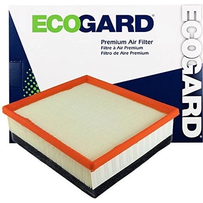 Air Filter by ECOGARD - XA10225 pa1