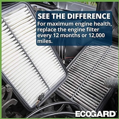 Air Filter by ECOGARD - XA10424 pa1
