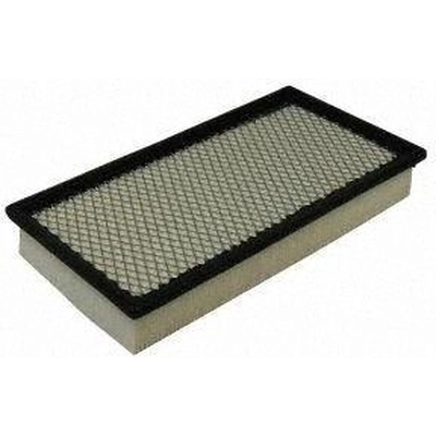 Air Filter by ECOGARD - XA5301 pa1