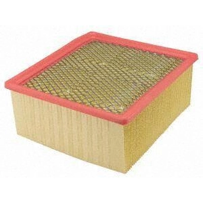 Air Filter by ECOGARD - XA6314 pa1