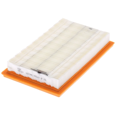 FRAM - CA10234 - Air Filter pa6