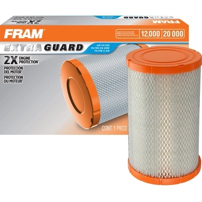 FRAM - CA10616 - Air Filter pa2