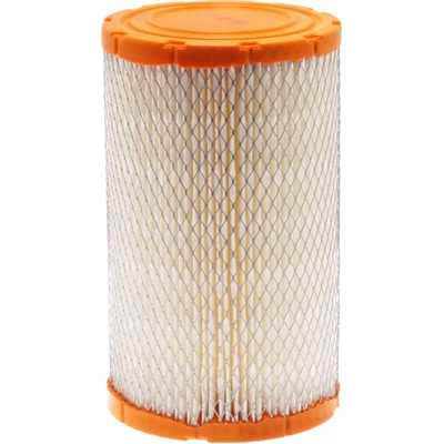 FRAM - CA10616 - Air Filter pa4