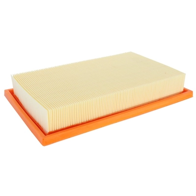 FRAM - CA11759 - AIR FILTER pa2