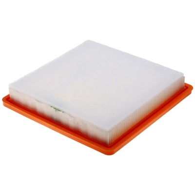 FRAM - CA12064 - AIR FILTER pa2