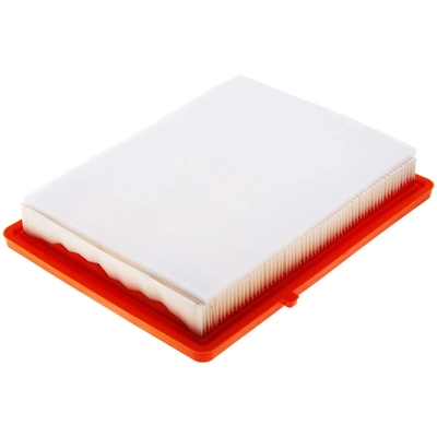 FRAM - CA12260 - AIR FILTER pa2