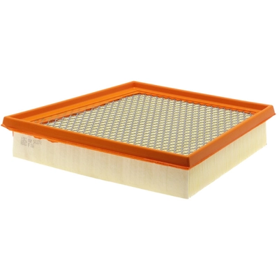 FRAM - CA12292 - AIR FILTER pa1