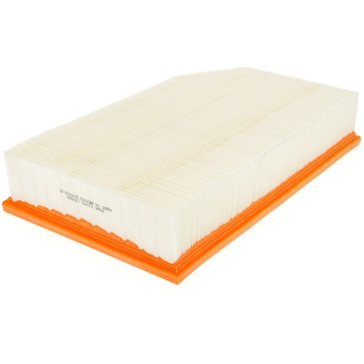 FRAM - CA12373 - Guard Air Filter pa1