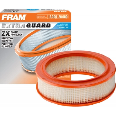 FRAM - CA6667 - Air Filter pa2