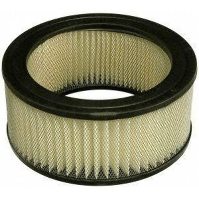 Air Filter by FRAM - CA101 pa1