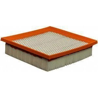 Air Filter by FRAM - CA11049 pa1