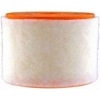 Air Filter by FRAM - CA11424 pa2