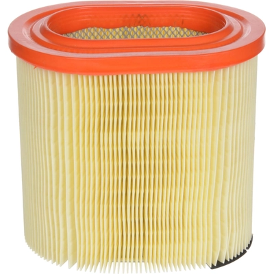 Air Filter by FRAM - CA12183 pa1