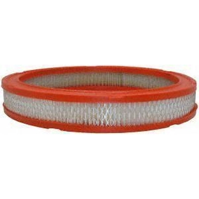 Air Filter by FRAM - CA3425 pa1