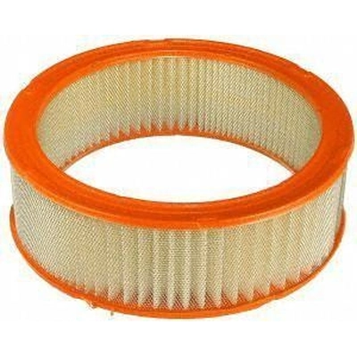 Air Filter by FRAM - CA347 pa1