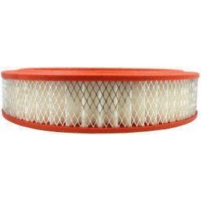 FRAM - CA351 - Air Filter pa1