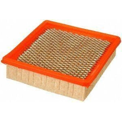 Air Filter by FRAM - CA3915 pa1