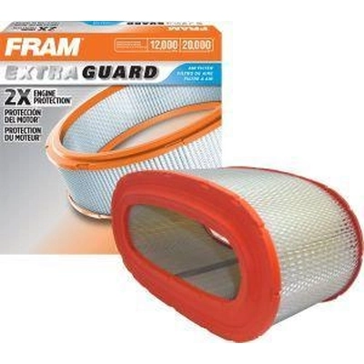 Air Filter by FRAM - CA7438 pa2