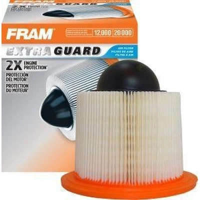 FRAM - CA8039 - Air Filter pa3