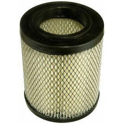 FRAM - CA9493 - Air Filter pa1