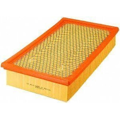 FRAM - CA9513 - Air Filter pa1