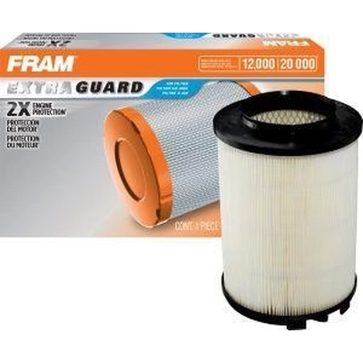 FRAM - CA9778 - Air Filter pa2