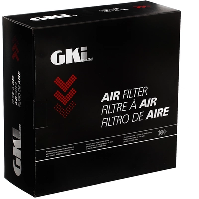 G.K. INDUSTRIES - AF10165 - Engine Air Filter pa2