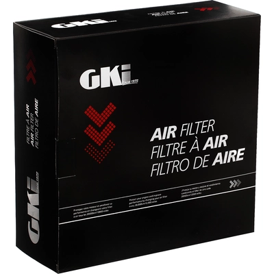 Air Filter by G.K. INDUSTRIES - AF10169 pa4
