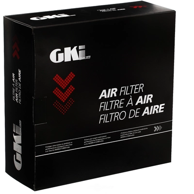 G.K. INDUSTRIES - AF10262 - Air Filter pa2