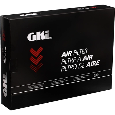 Air Filter by G.K. INDUSTRIES - AF10685 pa5