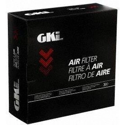 Air Filter by G.K. INDUSTRIES - AF10169 pa2