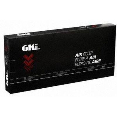 Air Filter by G.K. INDUSTRIES - AF10762 pa3