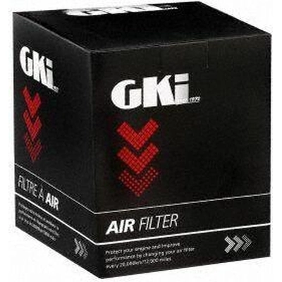 Air Filter by G.K. INDUSTRIES - AF491J pa2