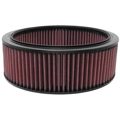Air Filter by K & N ENGINEERING - E1150 pa6
