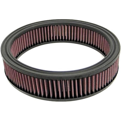 Air Filter by K & N ENGINEERING - E1220 pa2
