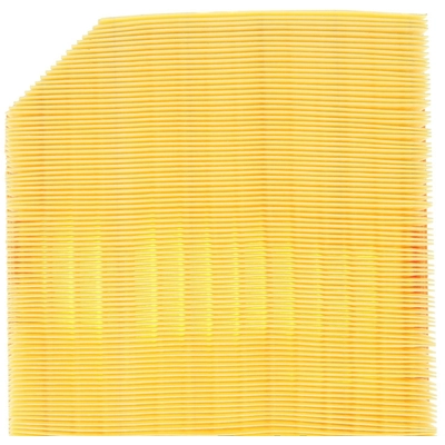 MAHLE ORIGINAL - LX5531 - Air Filter pa1