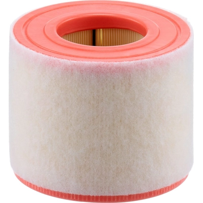 MANN-FILTER - C15-010 - Air Filter pa4
