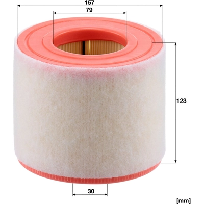 MANN-FILTER - C15-010 - Air Filter pa5