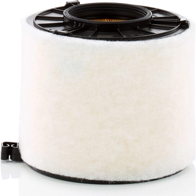 Air Filter by MANN-FILTER - C17-011 pa1