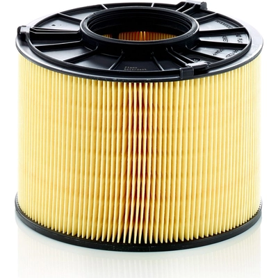 Air Filter by MANN-FILTER - C17-012/1 pa1