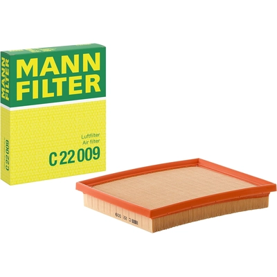 MANN-FILTER - C22-009 - Air Filter pa1