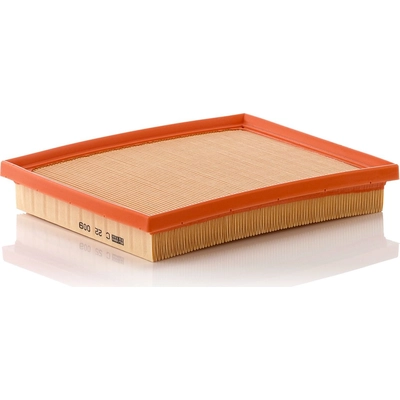 MANN-FILTER - C22-009 - Air Filter pa2