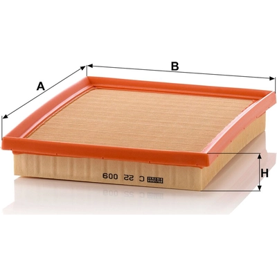 MANN-FILTER - C22-009 - Air Filter pa3