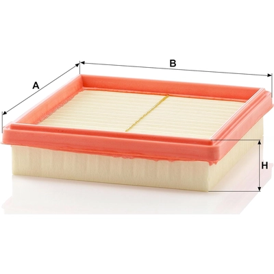 MANN-FILTER - C24-113 - Air Filter pa2